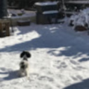 Meet your Posher, Emma wooten